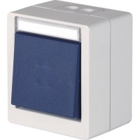 OPUS RESIST push-button, changeover contact light grey/steel blue